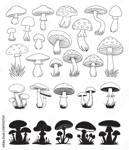 Diverse group of hand drawn mushrooms and silhouette illustrations