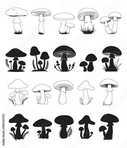 Collection of sketched mushrooms and their black silhouettes