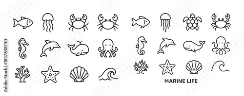 Marine life icons: fish, jellyfish, crabs, seahorses, dolphins,