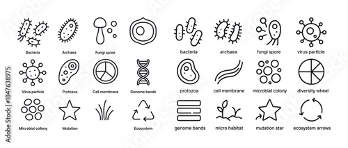 Microbial diversity icons: bacteria, fungi, viruses, ecosystems,