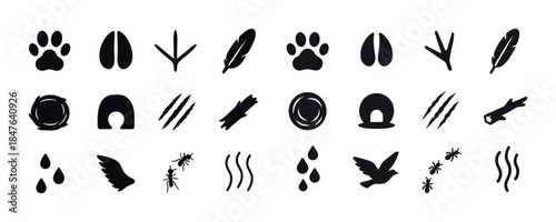 Animal tracks and signs collection including paw prints and feat