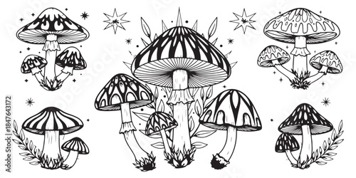 Cute Forest Fungi Vector Set with Colorful Hand Drawn mushroom Illustration