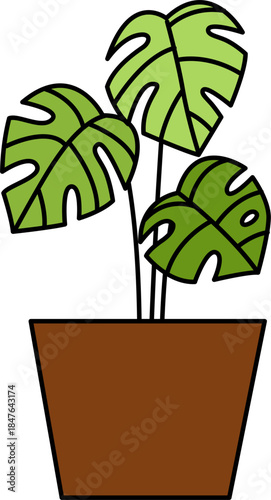 Flat vector Illustration of a foliage plant. Set of houseplants. Indoor plant in flowerpot. Decorative houseplants for interior home decoration.