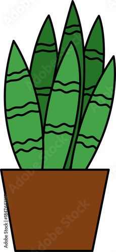 Flat vector Illustration of a foliage plant. Set of houseplants. Indoor plant in flowerpot. Decorative houseplants for interior home decoration.