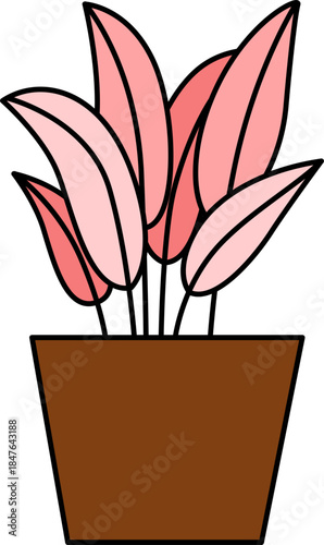 Flat vector Illustration of a foliage plant. Set of houseplants. Indoor plant in flowerpot. Decorative houseplants for interior home decoration.