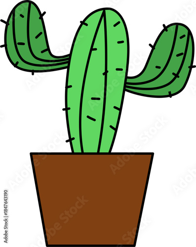 Flat vector Illustration of a foliage plant. Set of houseplants. Indoor plant in flowerpot. Decorative houseplants for interior home decoration.