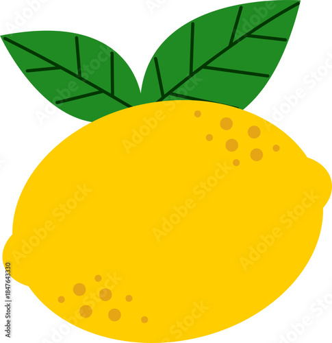 vector illustrations of lemons and leaves. Cartoon lemon. Ripe yellow sliced lemons. Summer fruits for healthy lifestyle. Organic fruit.