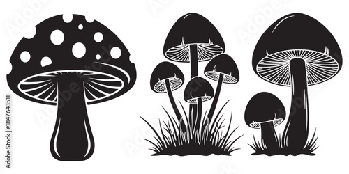 Cute Forest Fungi Vector Set with Colorful Hand Drawn mushroom Illustration
