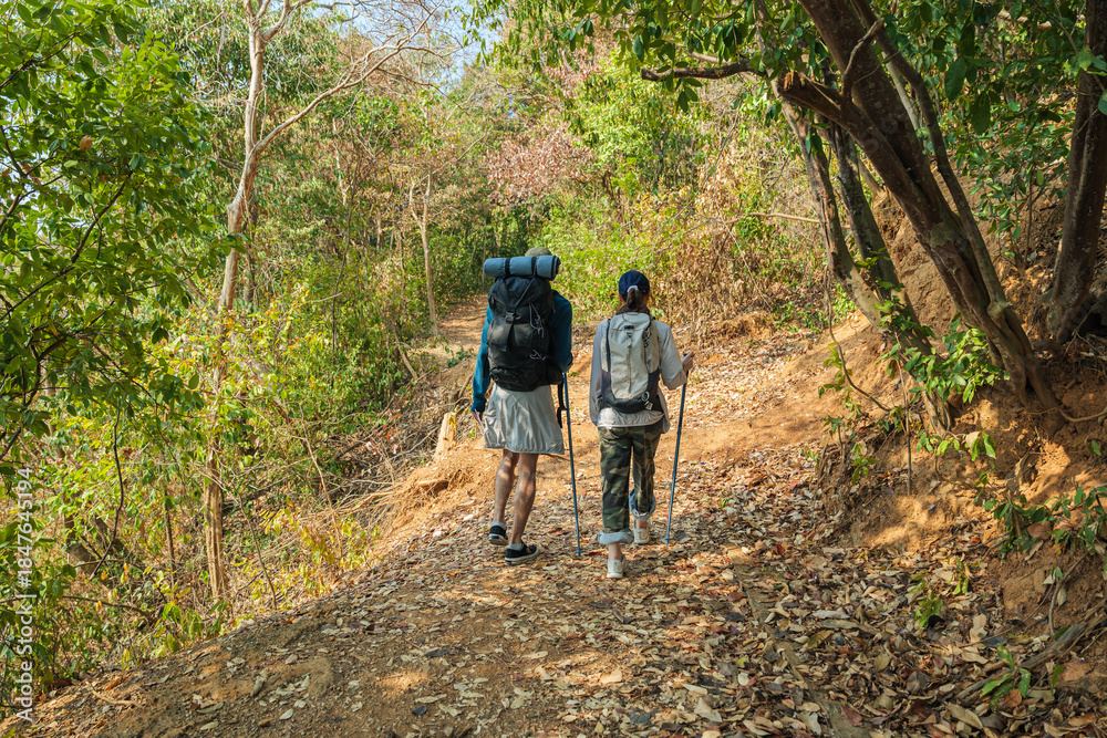 Obraz premium Travel young couple hike walk forest trail, people discover nature mountain path, enjoying outdoor activity, healthy lifestyle journey, tranquil woodland exploration