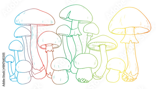 Forest Colorful mushroom Illustration Set with Cute Hand Drawn Nature fungi Elements vector
