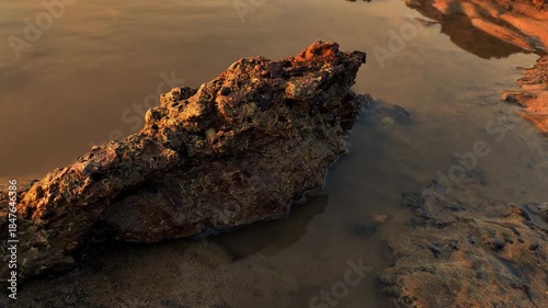 sandy soil on the seashore | seashore | sunset on the beach | golden hour