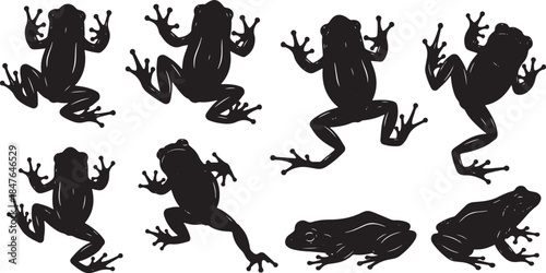 Black Frog Silhouettes in Various Poses on White Background
