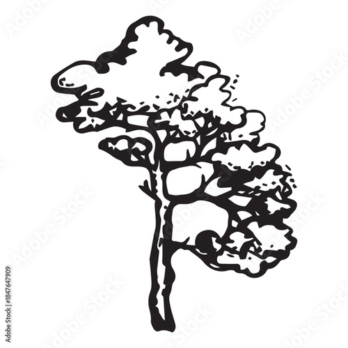 Stylized vector coniferous tree for designing tourist clothing