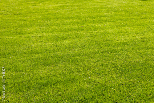 Bilde på lerret A lush green lawn with evenly cut grass, showcasing vibrant colors and a well-maintained appearance