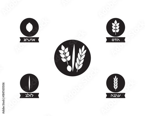 Jewish Four species illustrations - Etrog, Lulav, Hadas, Aravah with Hebrew names