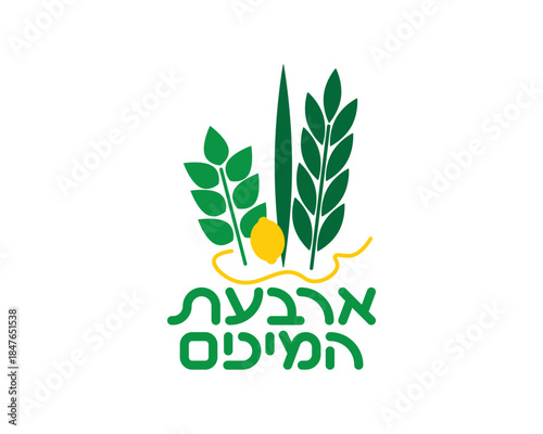 Jewish Four species illustrations - Etrog, Lulav, Hadas, Aravah and Hebrew Four species