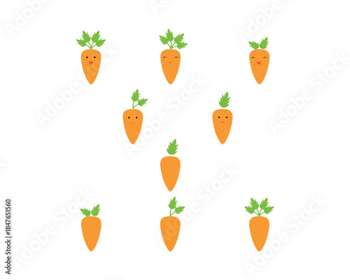Vector carrots and carrots characters set