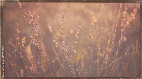 polaroid. Vintage-style photo with warm tones and film grain, evoking nostalgic memories. wellbeing guides, coaching materials, designed for coaching and self-improvement content.
