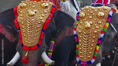 Decorated Temple elephants at a Hindu festival in Kerala , India 