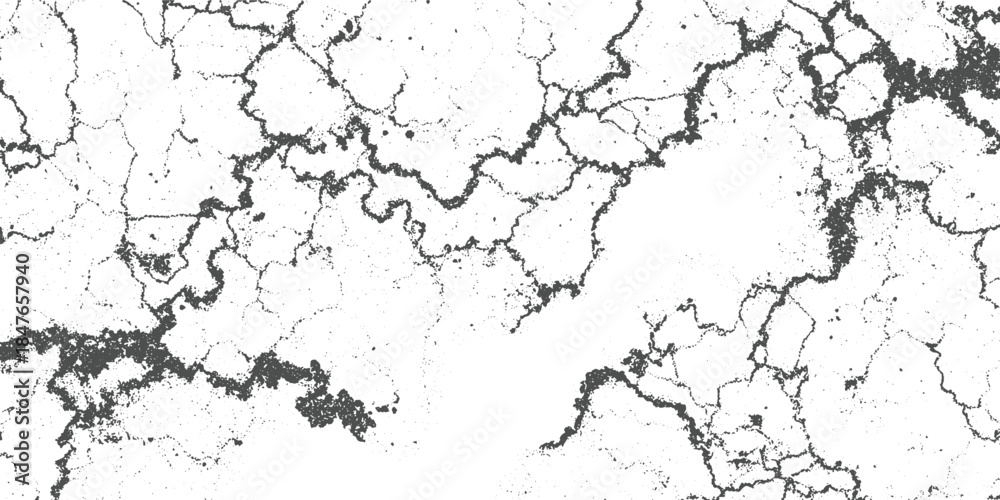 Fototapeta premium Cracked dry earth texture with dark grey lines and dots on white background abstract
