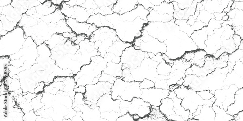 Black and white cracked earth texture with irregular polygonal shapes and granular detail pattern