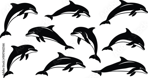 Set of black dolphin silhouettes jumping and swimming in various poses, isolated vector illustrations of marine mammals for ocean life and aquatic designs.