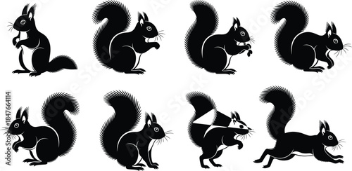 Squirrel Silhouette Vector Set: Cute Black and White Wildlife Illustrations of Forest Rodents in Various Poses like Sitting, Eating, and Running for Nature Designs.