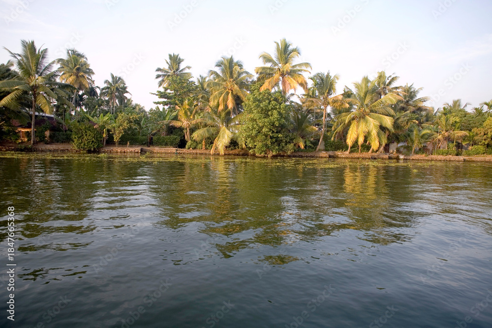Obraz premium tropical island with palm trees