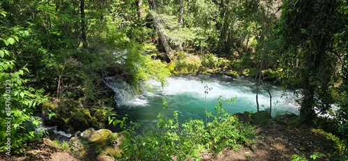 Stunning waterfall in a lush green forest on a sunny day in Chile. Flowing water, vibrant vegetation, and bright natural light create a fresh and peaceful nature scene.