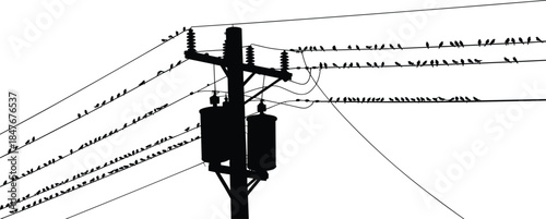 Electric power pole silhouette with birds on transmission wires illustrating electricity infrastructure wildlife interaction energy vector illustration design