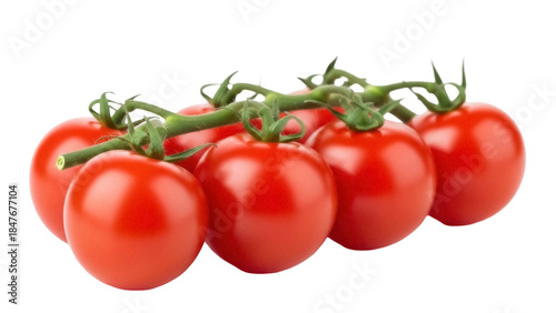 Isolated Fresh Cherry Tomatoes on the Vine Ready for Cooking, Salad or Snacking in the Garden