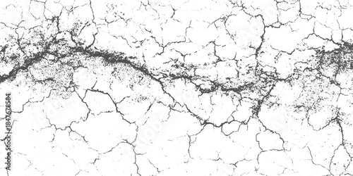 Cracked dry earth surface with dark grey lines and speckles on white background texture