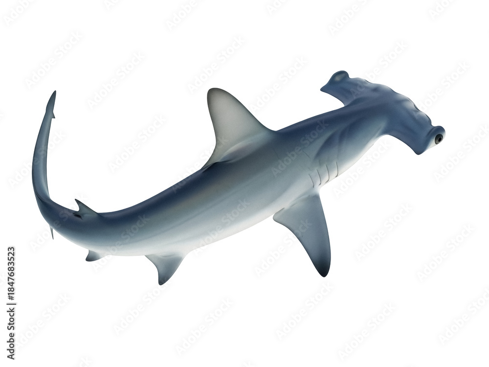 Fototapeta premium Isolated hammerhead shark with realistic texture and detail, ocean predator, dangerous sea life