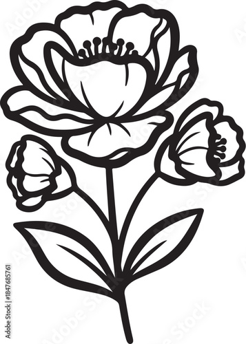 50 Floral Nature Vector Illustration