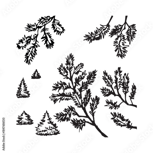 Set of vector fir branches with fir trees