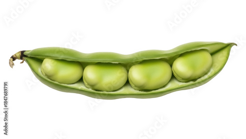 Foto Isolated green fava bean pod showing seeds still inside the shell, a fresh natur