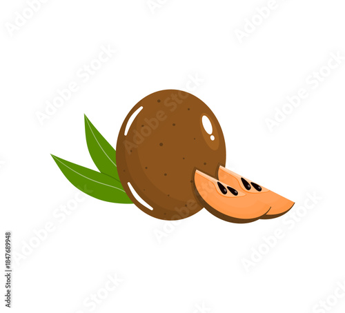 Organic Sapodilla Fruit, Whole and Half Cut (Manilkara zapota)