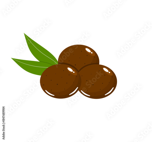 Sapodilla Fruit Vector, Three Fruits with Leaves (Manilkara zapota)