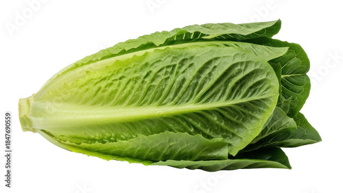 Foto Isolated romaine lettuce head ready for food preparation with a vibrant green co
