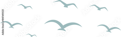 Compact Tight Bird Flock Silhouette Group in Flight