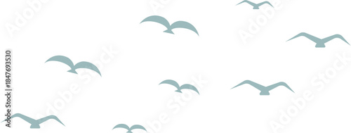 Minimal Simple Seagull Flock Silhouette Clean Background