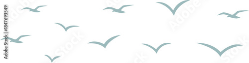 Far Remote Bird Flock Silhouettes Tiny Flying Shapes