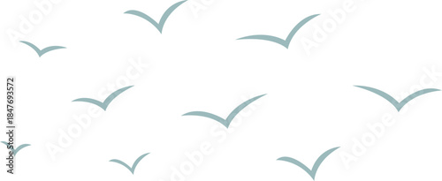 Scattered Random Bird Flock Silhouettes Airy Pattern