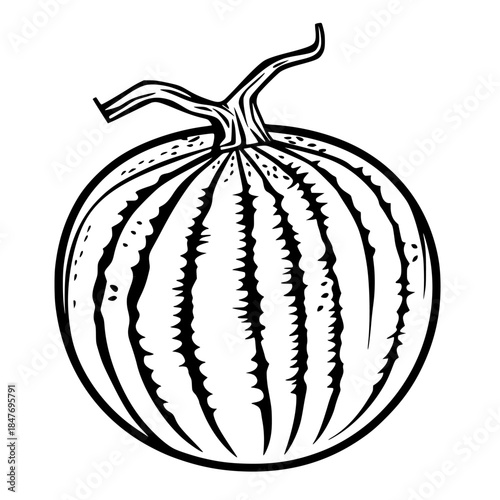 Moonlit Melon Mystique | Clean, isolated vector art for creative projects.