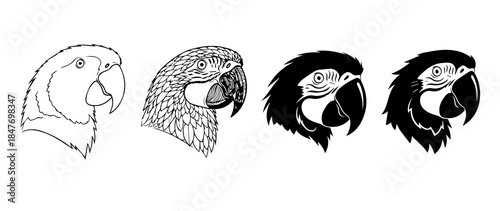 Stylized Macaw Heads in Progressive Feather and Beak Designs