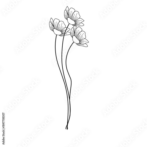 Minimalist line art flower illustration. Minimalist flower illustration. Flower vector illustration. Beautiful flower design