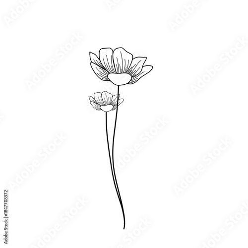 Minimalist line art flower illustration. Minimalist flower illustration. Flower vector illustration. Beautiful flower design