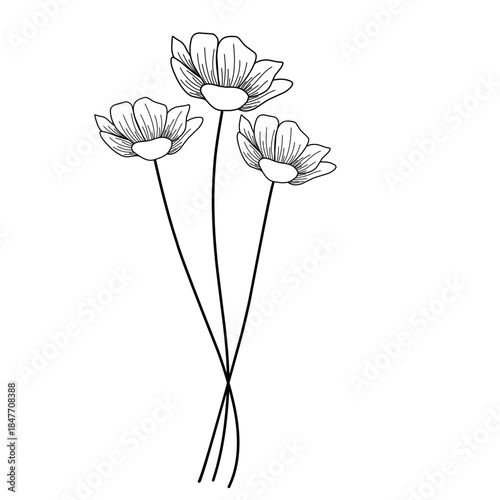 Minimalist line art flower illustration. Minimalist flower illustration. Flower vector illustration. Beautiful flower design