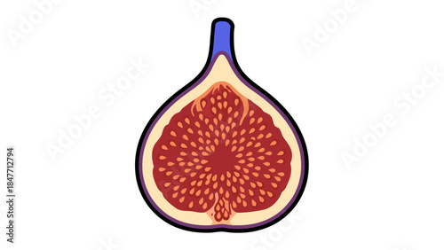 red grapefruit on a white background isolated