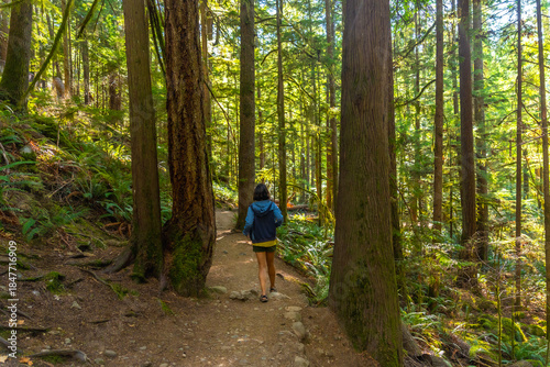 Fotografia Tourist walking on trail in lush forest at englishman river falls provincial par